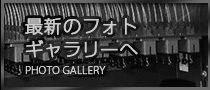 最新のフォトギャラリーへ