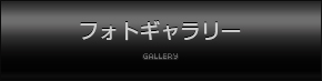 フォトギャラリー